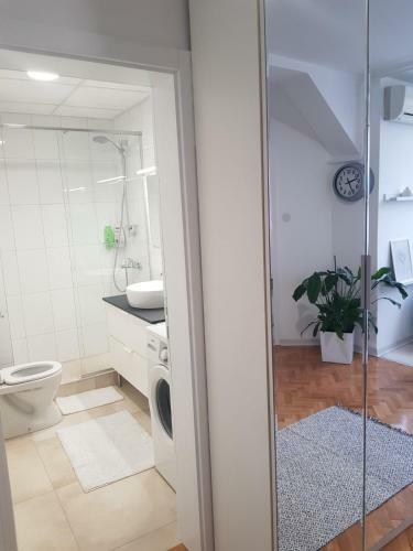 Welcome Apartment