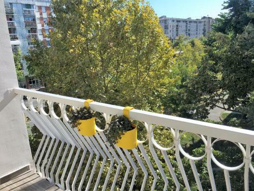Apartamentos Balzak 64m2, Free Parking & Wi-fi
