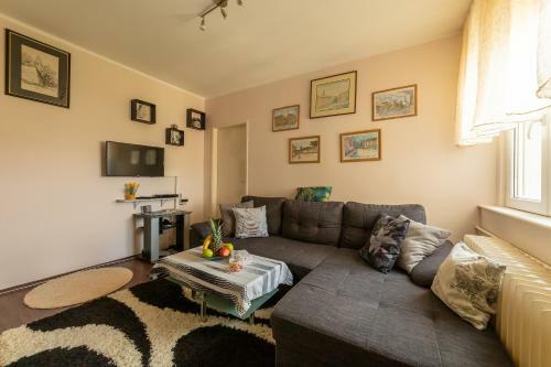 Sweet Home Danube Liman Apartment