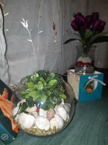 Sweet Home Danube Liman Apartment
