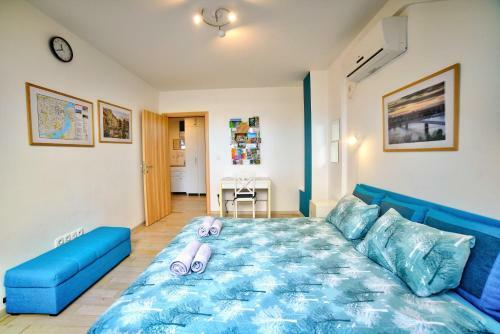 Apartman Strahinja - Centar