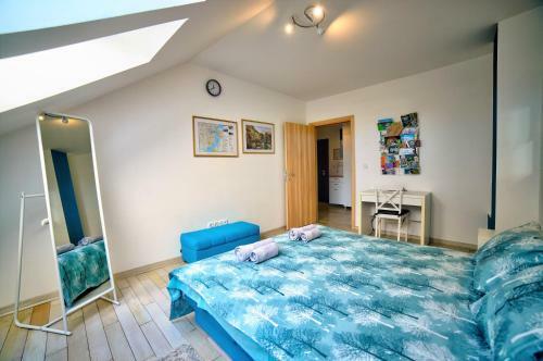 Apartman Strahinja - Centar