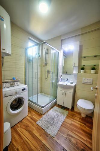 Apartman Strahinja - Centar