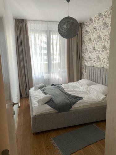Apartment Pupin Star - City Centre