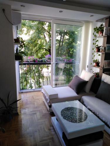 Ana Apartment