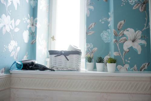 Old Town Square Apartment Novi Sad
