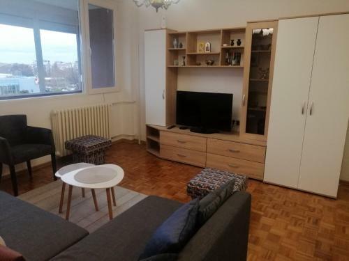 Apartman Liman Sara