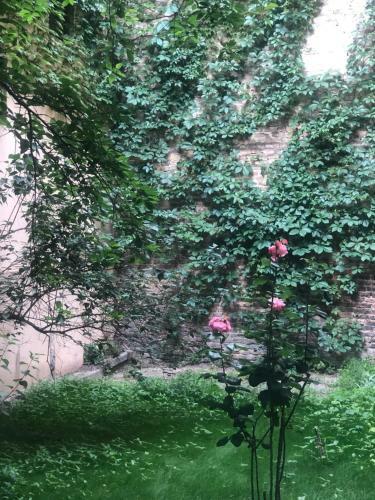 Apart Rooms Sova
