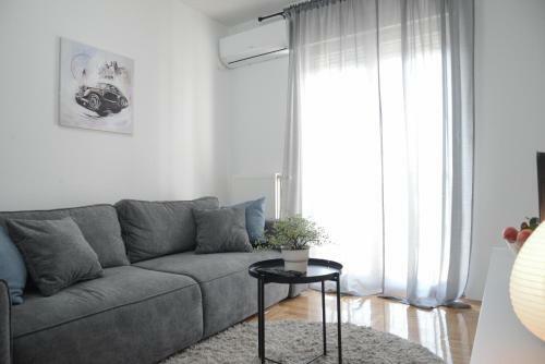 Apartment Dobraya Grey