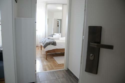 Apartment Dobraya Grey