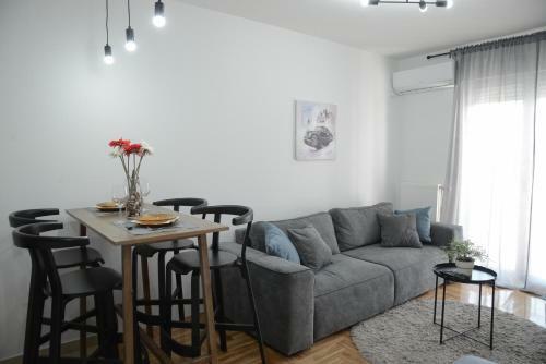 Apartment Dobraya Grey