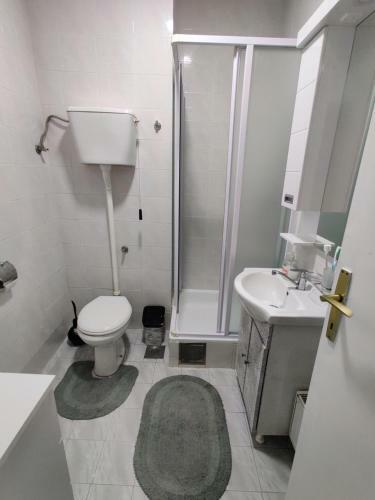 Cosy Apartmant In Novi Sad