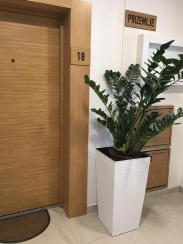 Apartamento Exit
