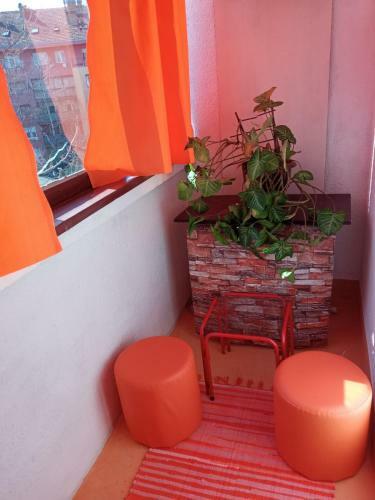 Apartman Rose
