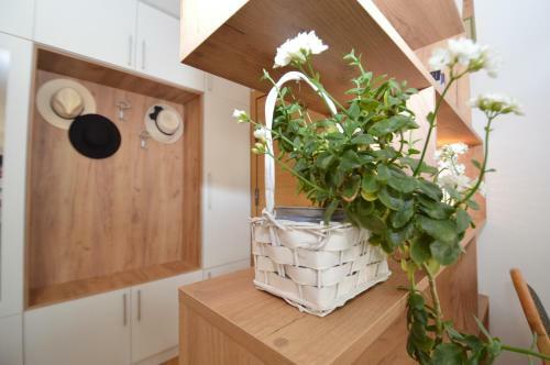 Shine24 - Spacious And Bright Apartment - New