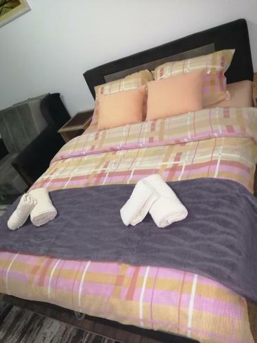 Apartman Sajam&m