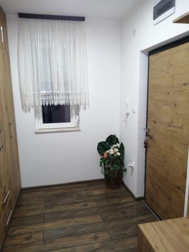 Apartman Sajam&m