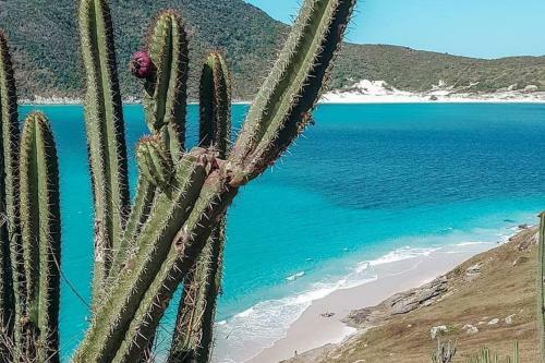 Apartamento Arraial Do Cabo - Prainha - Apto Para 10 Pessoas