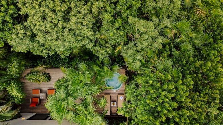 Hotel Occidental At Xcaret Destination