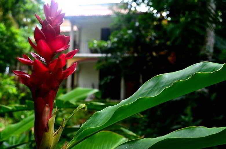 Hotel Ecotel Quinta Regia
