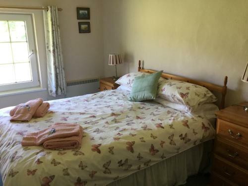 Agroturismo Plas Y Nant