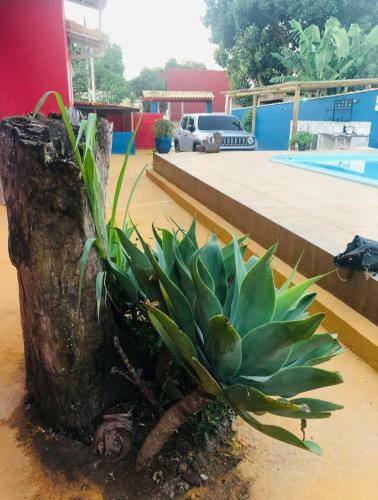 Hostal Hospedagem B�zios Mar E Piscina