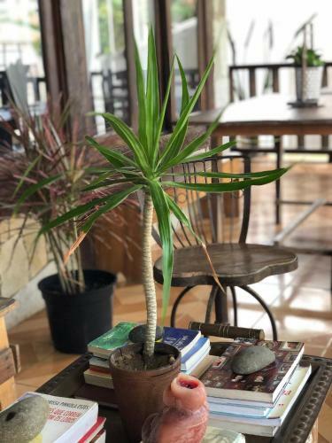 Bed & Breakfast Peixe Crew Gerib�