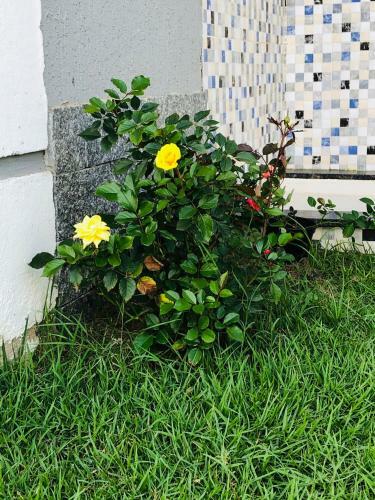 Apartamento Na Praia Rasa Em B�zios