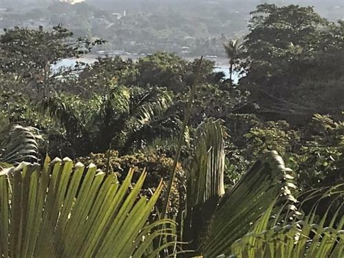 Casa Em B�zios - A Poucos Passos Da Praia Da Ferradura