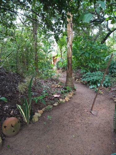 Espa�o Cris�ntemos B�zios