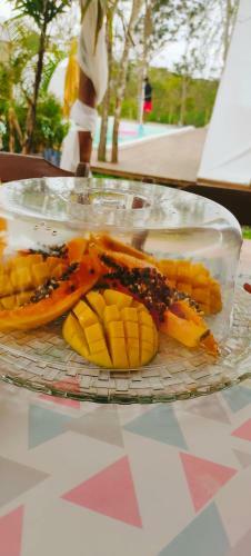 Primitivo Glamping Buzios