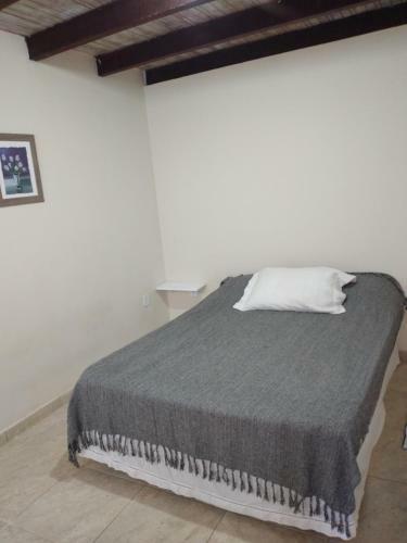 Casa Palmera