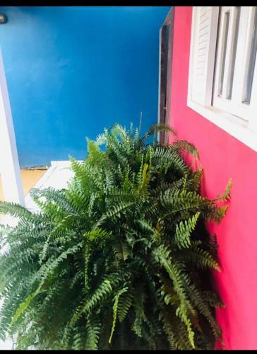 Hostal Piscina De B�zios