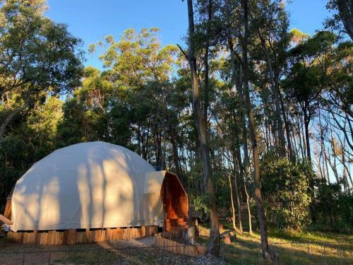 Casa Domo En Medio de La Naturaleza