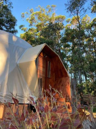 Casa Domo En Medio de La Naturaleza