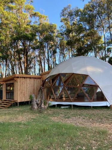 Casa Domo En Medio de La Naturaleza