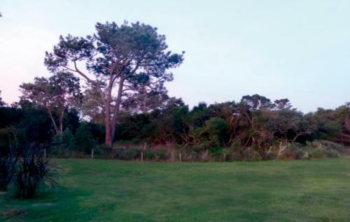 Casa Marieta Ocean Park