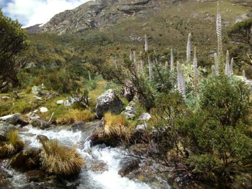 Bed & Breakfast Shumak Alpamayo Hostal Huaraz