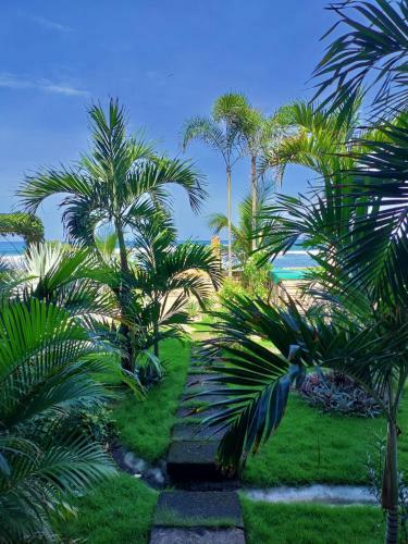 Hotel Alive Beach House