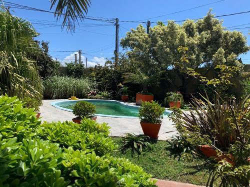 Paz Y Armon�a En Chuy...
