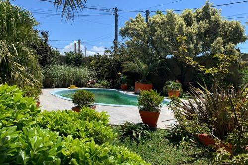 Paz Y Armon�a En Chuy...
