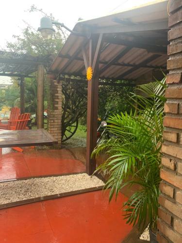 Paz Y Armon�a En Chuy...