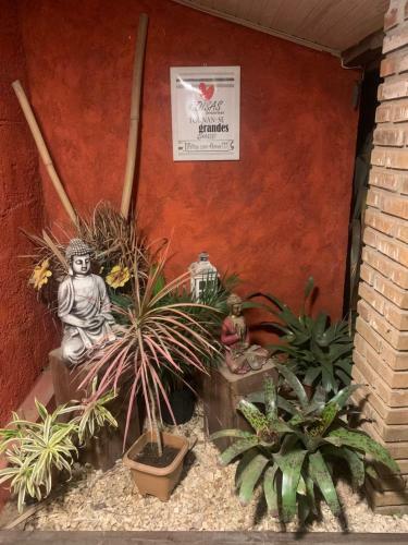 Paz Y Armon�a En Chuy...