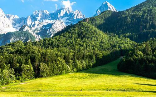 House Moose't Getaway, Kranjska Gora