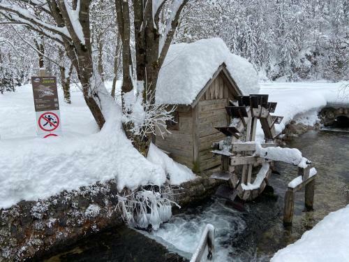 Apartma Gams Kranjska Gora
