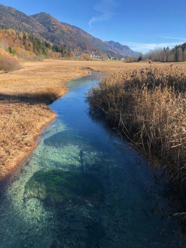Apartma Gams Kranjska Gora