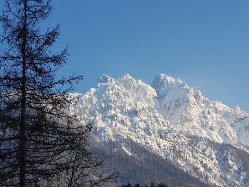 Yellow Apartma Kranjska Gora