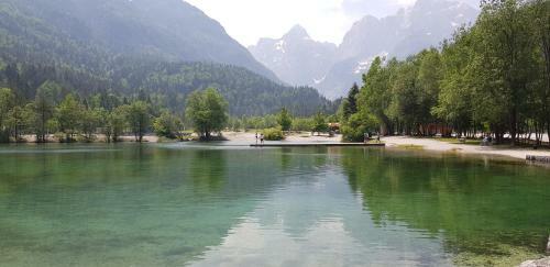 Yellow Apartma Kranjska Gora
