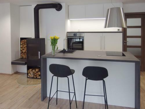 Apartments Vita