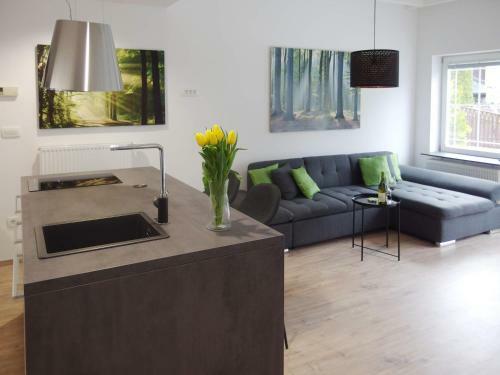 Apartments Vita